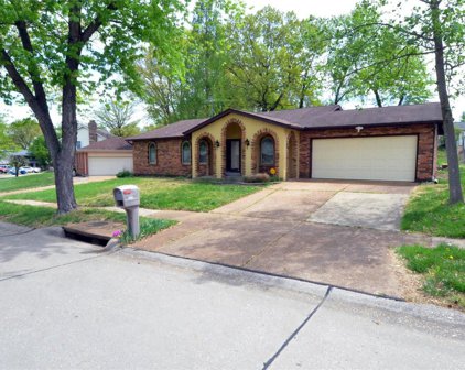 4452 Gemini, St Louis