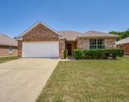 1412 Cowtown  Drive, Mansfield image