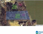 Muscadine Drive Unit 16, Ashville image