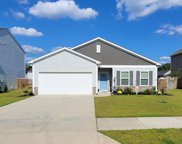 111 Lilly Grace Lane, Goose Creek image