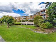 11900 228 Street Unit 14, Maple Ridge image