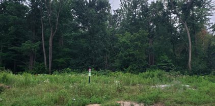 5278 Eaglepass, Hudsonville