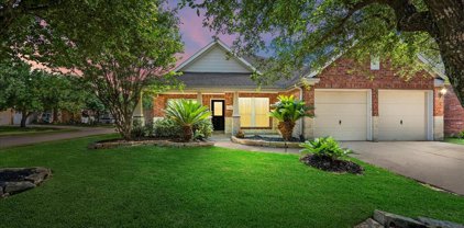 17403 N Riata Lake Drive, Cypress