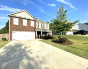 728 Mallet Way, Chelsea image