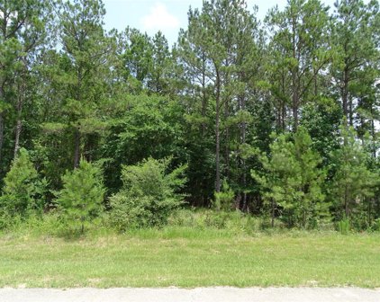 11405 E Kristina Circle, Montgomery