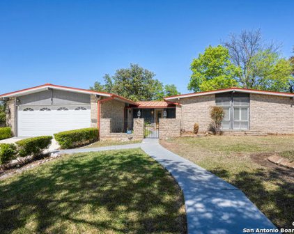 1311 Wiltshire Ave, San Antonio