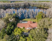 10305 Tarpon Springs Road, Odessa image