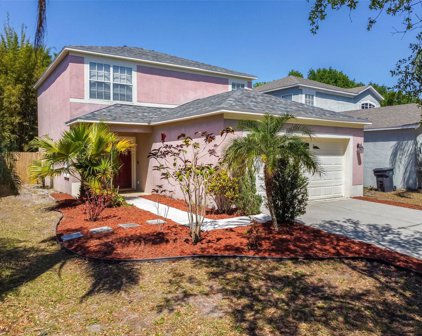 8403 Quarter Horse Drive, Riverview