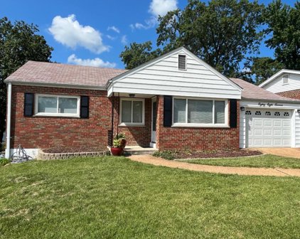 8811 Sheryl Ann  Drive, St Louis