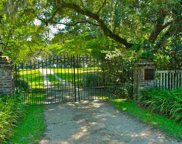 Lot 1-A Whitehall Plantation Rd., Georgetown image