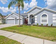 10342 Meadow Crossing Drive, Tampa image