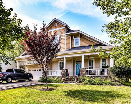 399 Shoreline  Parkway, Tega Cay