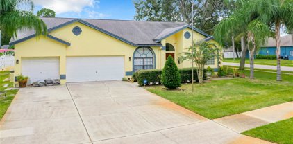 3358 Pattie Place, Palm Harbor