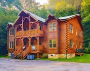 315 Caney Creek Rd, Pigeon Forge image