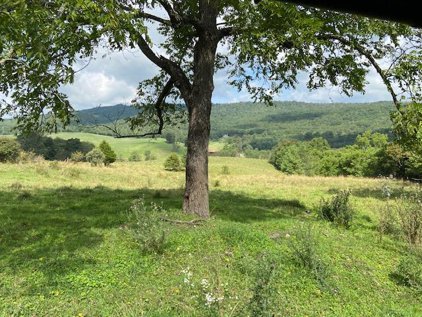 257 acre Crocketts Cove Rd, Wytheville