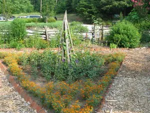 Roper Mountain Science Center