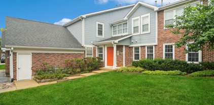 214 W Jennifer Lane Unit #3, Palatine
