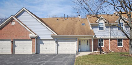 74 Larch Court Unit #D, Schaumburg