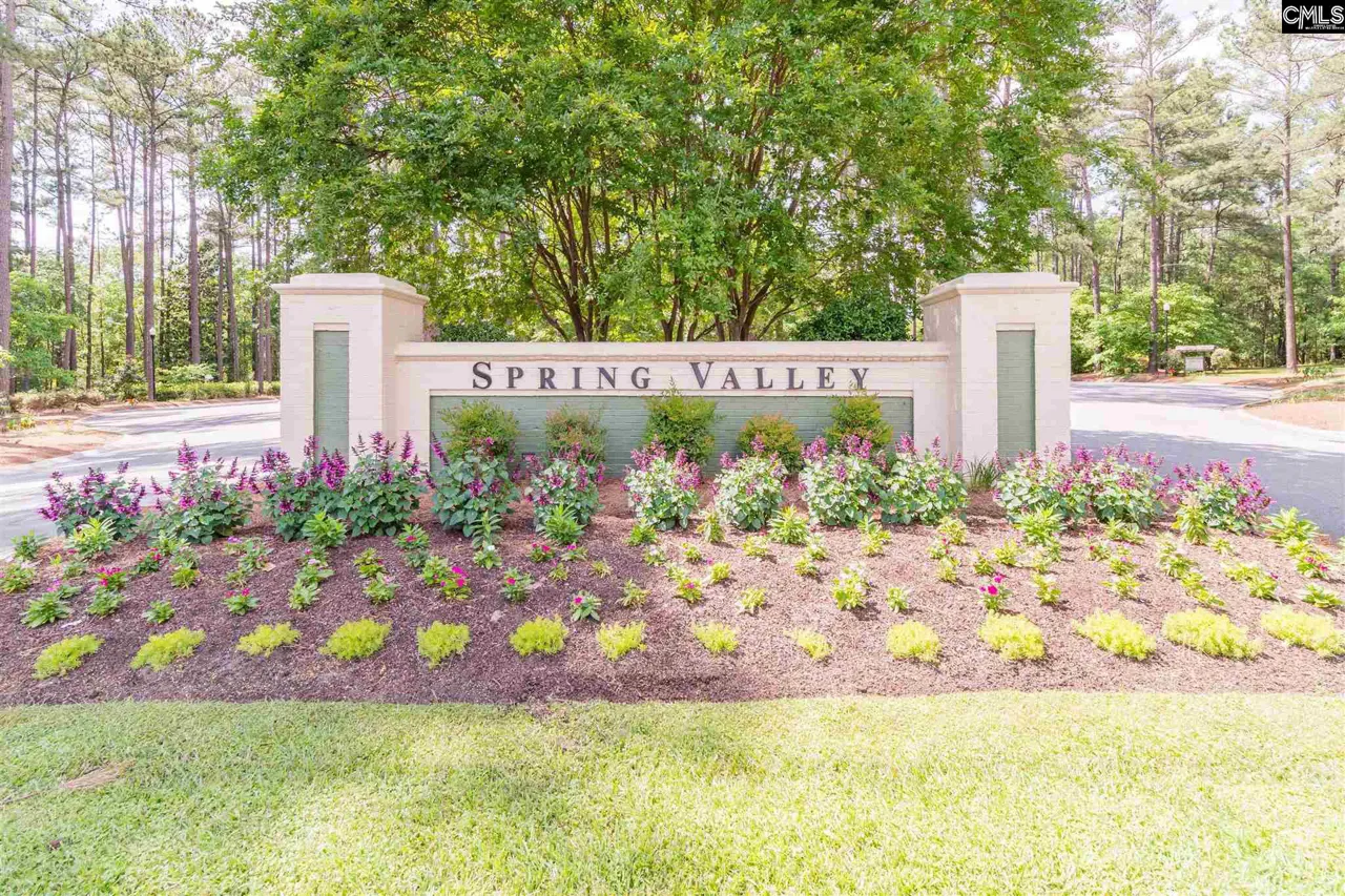 Spring Valley Community Entrance, Spring Valley Homes for Sale
