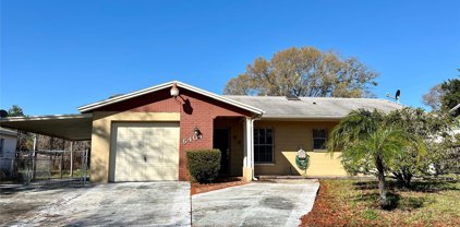 6404 Axelrod Road, Tampa