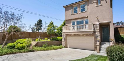 389 Steelhead Way, Vista
