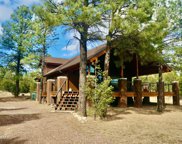 2343 Dovetail Trail, Overgaard image