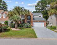 424 Blackberry Ln., Myrtle Beach image