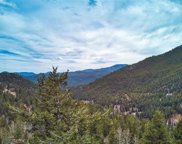 Grouse Way, Evergreen image