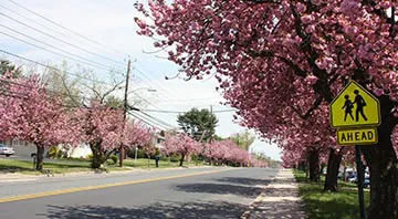 Cherry Hill NJ real estate