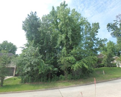 4317 Windswept, Montgomery