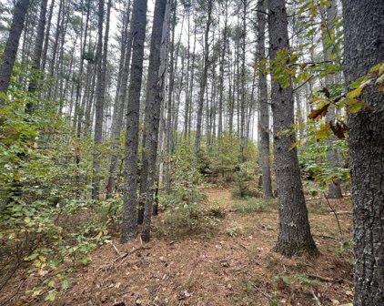 Lot 21-2 Wilderness Lane, Hiram