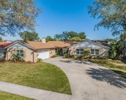 4707 Onyx Place, Tampa image