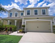 11204 Spring Point Circle S, Riverview image