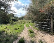 County Road 508, Brazoria image