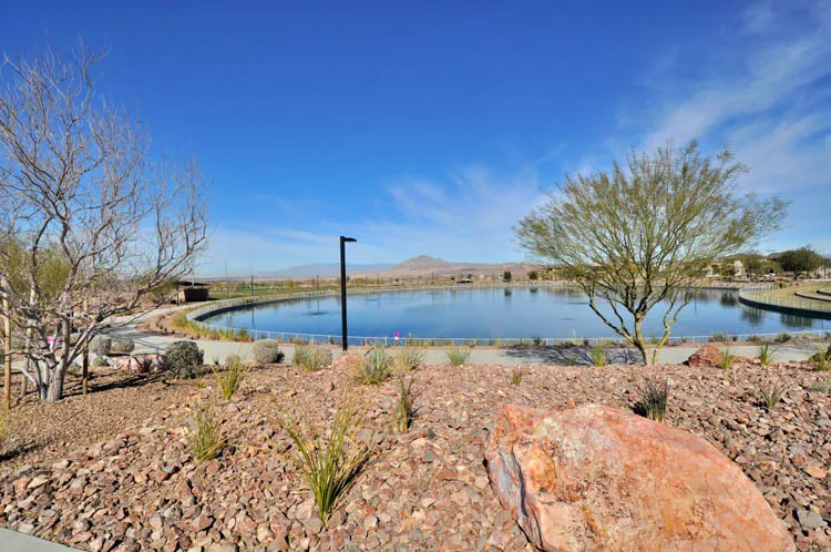 Cadence, Henderson Real Estate 10
