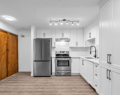 1122 King Albert Avenue Unit 209, Coquitlam