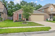 10534 Chestnut Path Way, Tomball image