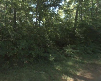 PARKWOOD, Conroe