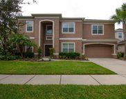 11106 Coventry Grove Circle, Lithia image