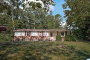 404 Miracle Hills Road, Springville image