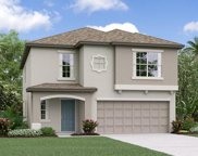 9905 Spanish Lime Court, Riverview image