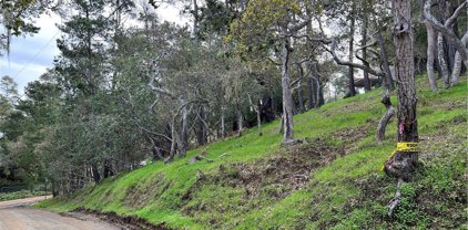Haddon Drive, Cambria
