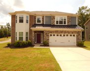 620 Sugarberry  Court, Fort Mill image