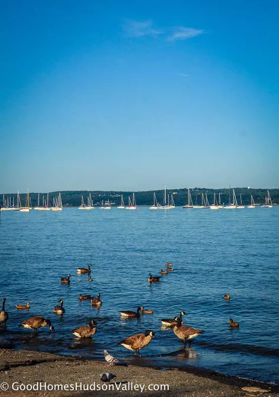 Nyack real estate. View from the Nyack waterfront