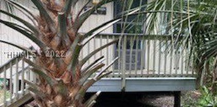 32 Night Heron Lane, Hilton Head Island