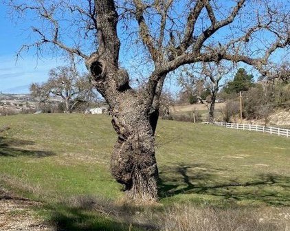 1440 Lot 12 Fire Rock Loop, Templeton