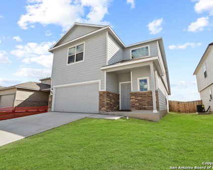 2430 Pink Pearl, San Antonio