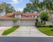8003 Bayside View Drive, Orlando image