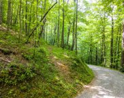 Lot 12C Von Trapp Lane, Tuckasegee image