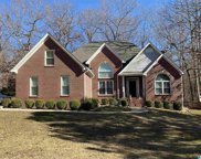 105 Wisteria Drive, Chelsea image